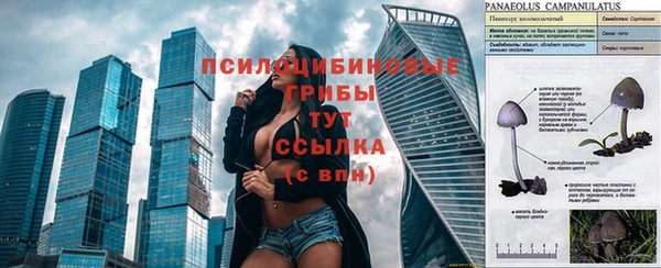 spice Абинск