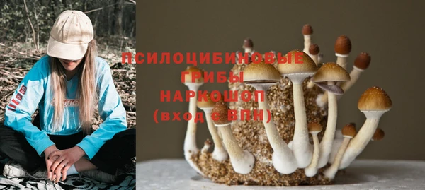 spice Абинск