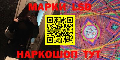 крисы Новодвинск