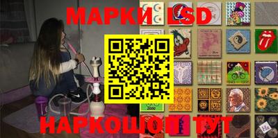 крисы Новодвинск