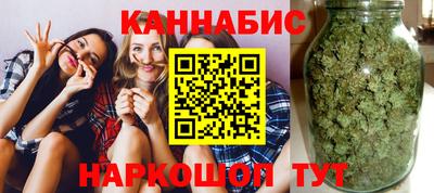 крисы Новодвинск