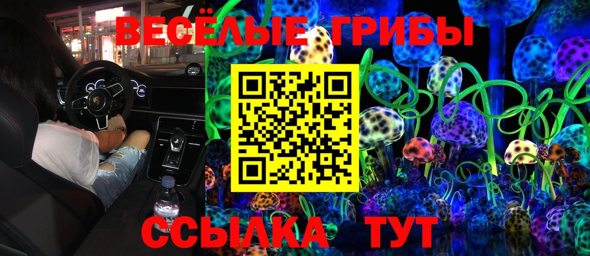 Галлюциногенные грибы Psilocybe Морозовск
