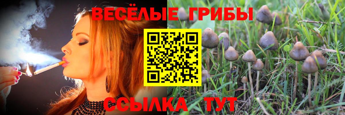 Морозовск  Меф МЯУ МЯУ кристаллы  Марихуана  Вход с VPN  Где купить наркотики?  ЭКСТАЗИ 